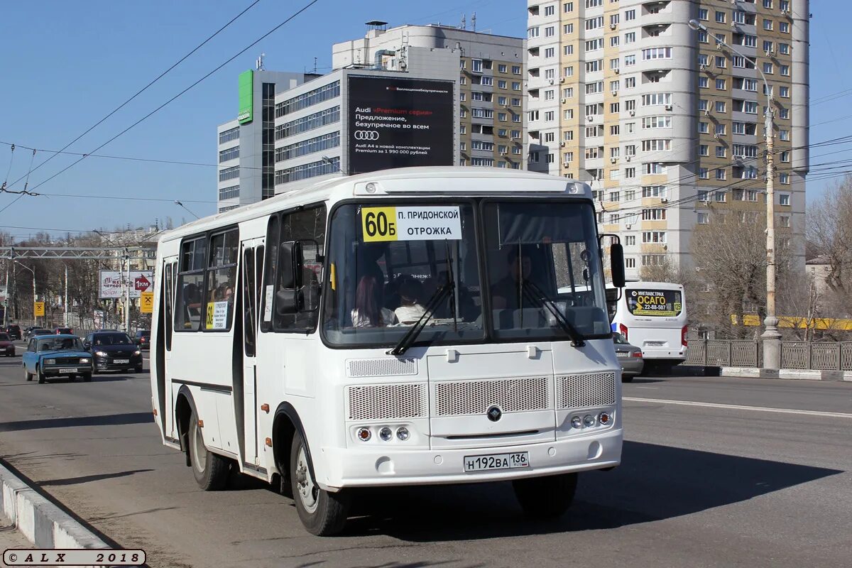 Загружаемые автобус воронежская область фотобус. Паз 32054 fotobus. Загружаемые автобус воронежская область фотобус. 62 маршрут воронеж. Паз 4234 тюнинг.