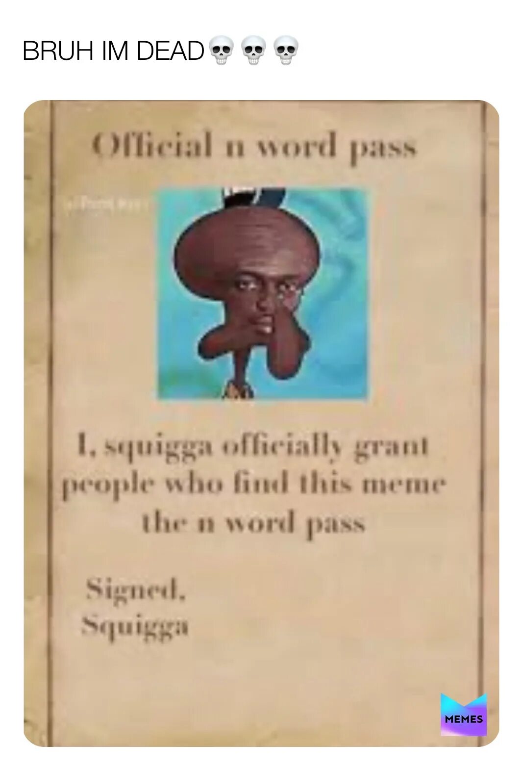N word pass что это. N word pass. n word meme. word мем. official words.