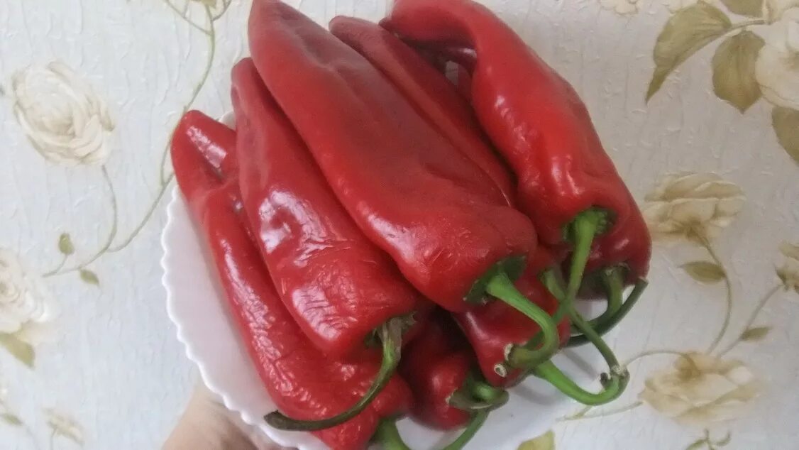 Паприка пикантная сицилийская. Болгарский перец сорт паприка. Перец devil's lambsheart. Аэлита перец сладкий паприка 0,3 гр. Перец паприка аэлита.
