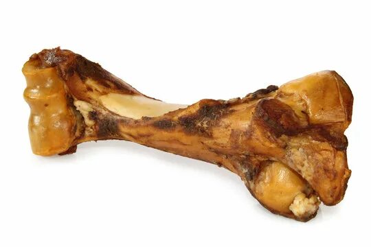 Image result for real bone femur Real bones, Environment design, Image