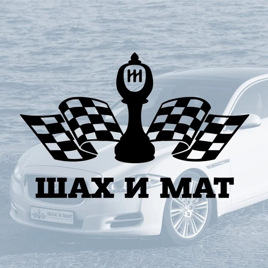 Шах и мат рубцовске. Двойной шах в шахматах. Шах и мат. Шах мат и пат в шахматной партии. Ходы в шахматах.