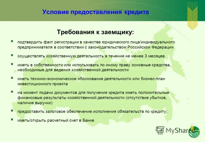 Какие предоставляются