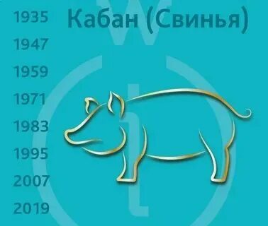 2025 год для кабана женщины
