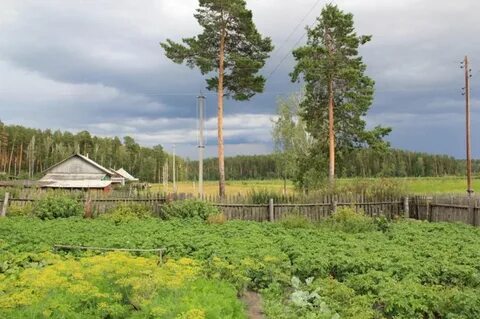 Горки курганская область