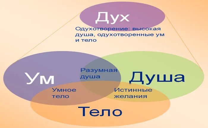 Дух, душа и тело. Дух душа ум. Дух душа тело разум. Дух душа и тело схема.