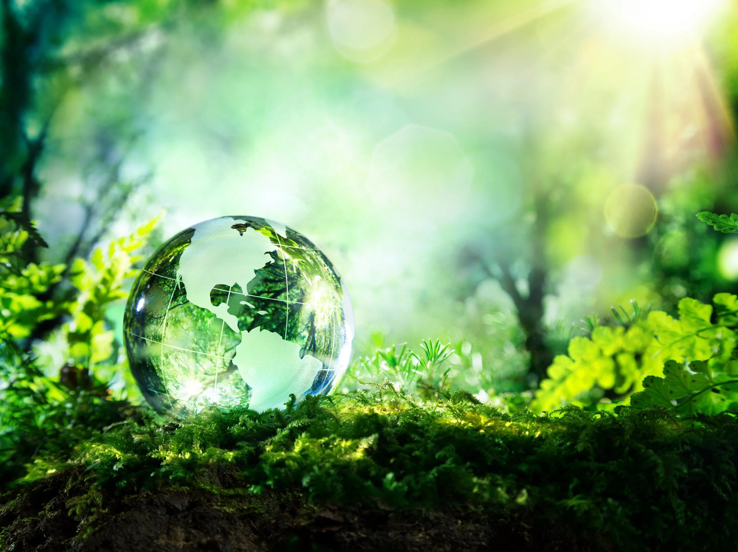 Healthy environment