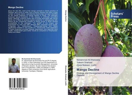 Книга манго