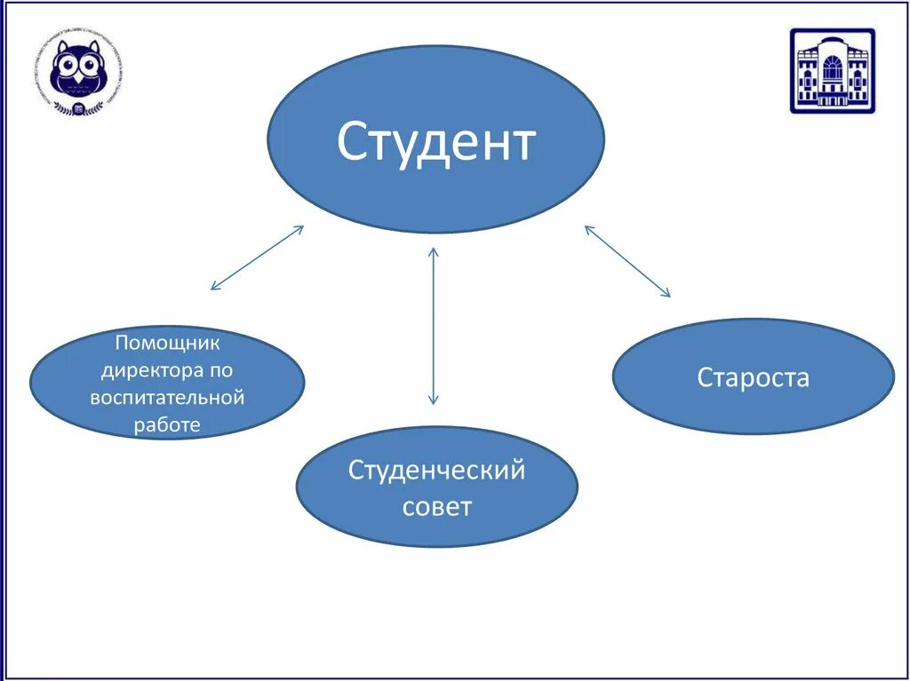 Староста класса заместитель старосты. Староста в вузе. Обязанности старосты в вузе. Старостат студенческого совета. Староста класса и его помощники.