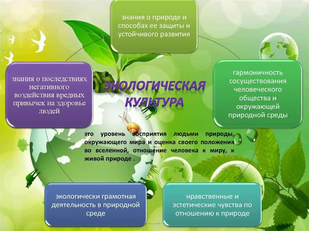 Формирование культуры безопасности. Формирование экологической культуры человек. Формирование экологической культуры человек. Воспитание экологической культуры личности. Формирование экологической культуры человек.