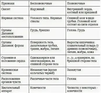 Сравнительная характеристика позвоночных животных