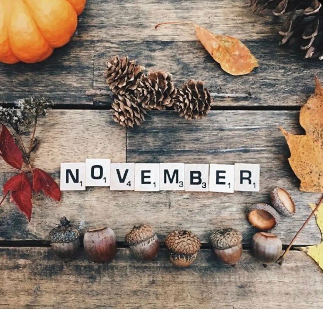 November is than september. Hello ноябрь. November is than september. Ноябрь надпись. Фон октябрь.