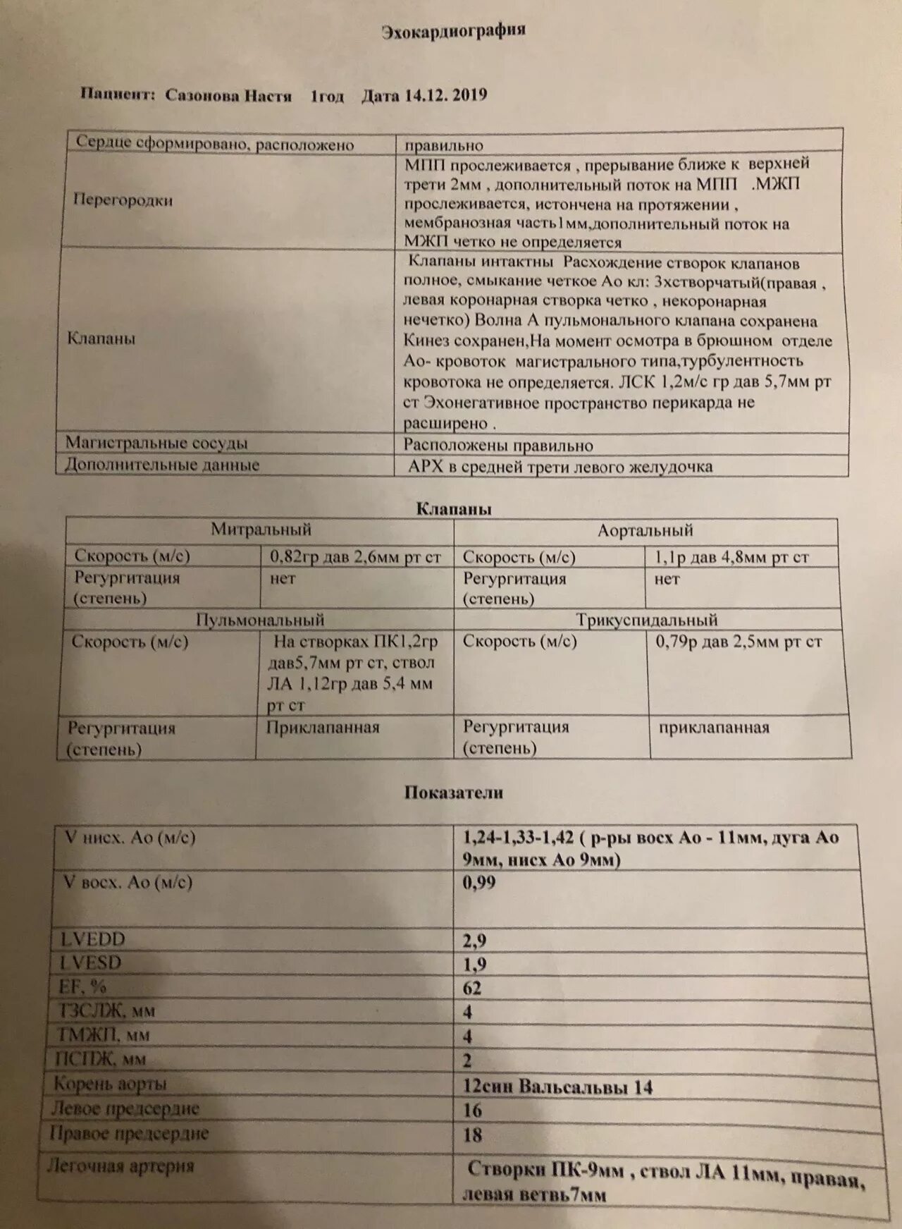 Протокол эхокг. Заключение эхокардиографии в норме. данные эхокг в норме. протокол эхокардиографии.