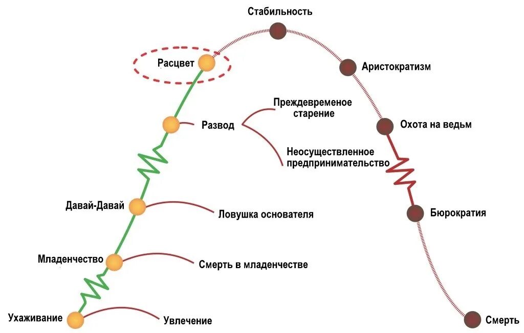 Брюс такман стадии развития команды. Жизненный цикл адизеса схема. Этапы жизни руководителя. Движение к цели. Этапы жизненного цикла организации схема.