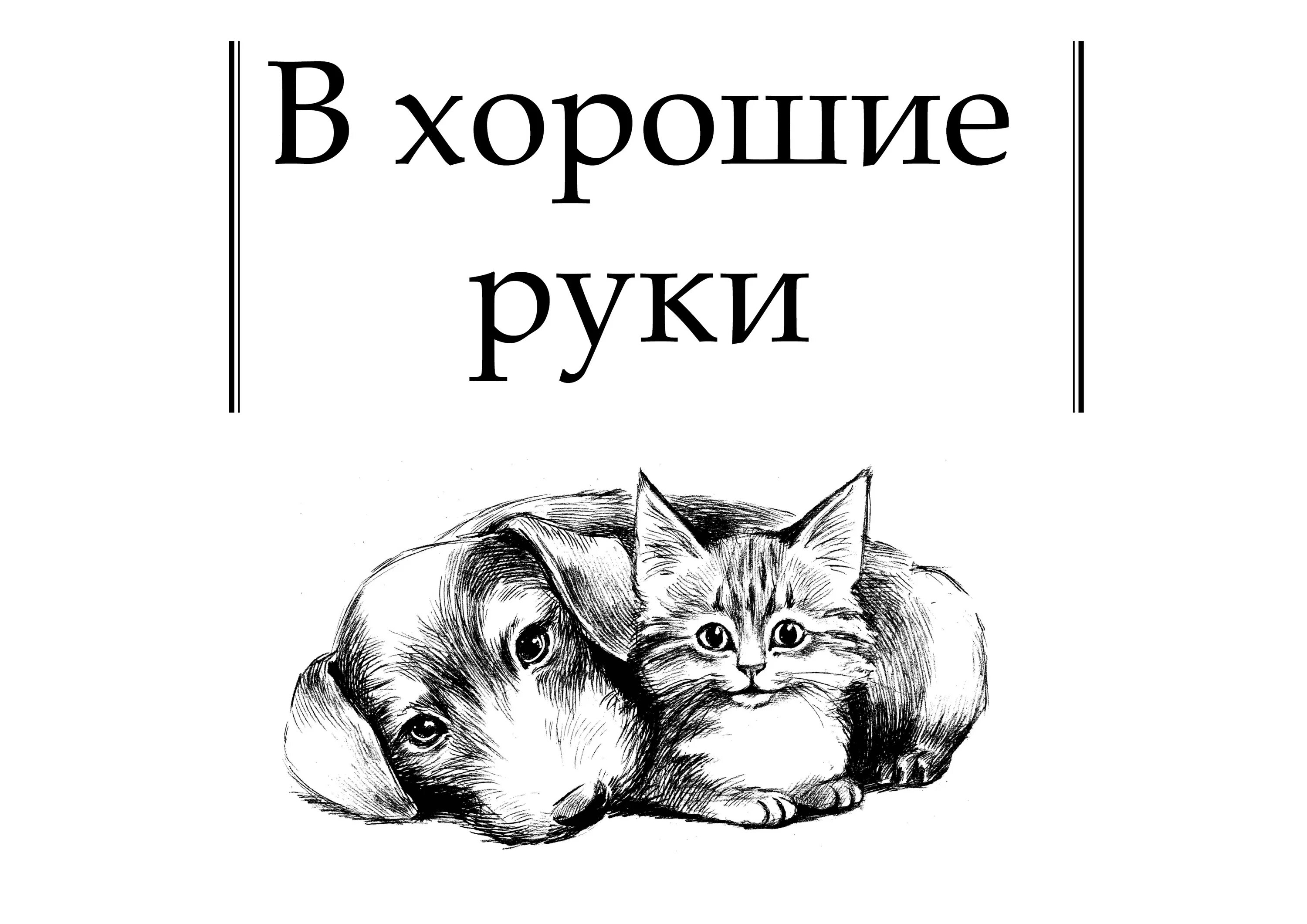 объявления отдам в хорошие руки. щенки в добрые руки. добрые руки березники. отдам в хорошие руки домашних питомцев в маслянино. отдам животных в добрые руки.