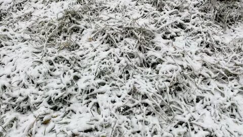 Когда похолодает в нижнем новгороде