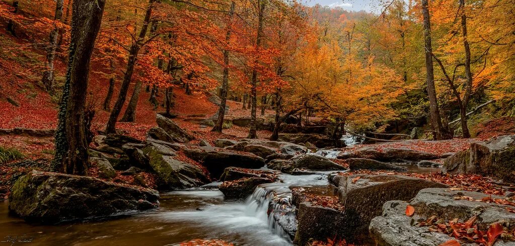 Set fall