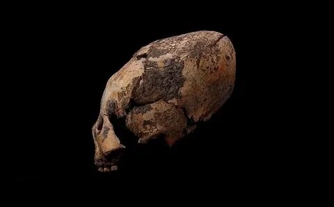 12000 лет