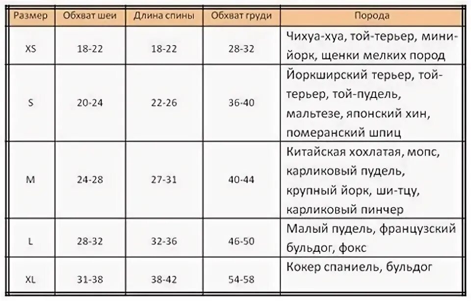 Норма веса французского бульдога по месяцам 53 фото - ZooClever.ru