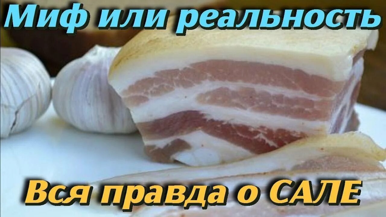 Интересные факты про сало. Мифы про сало. Сало миф и реальность. Факты о Сале.