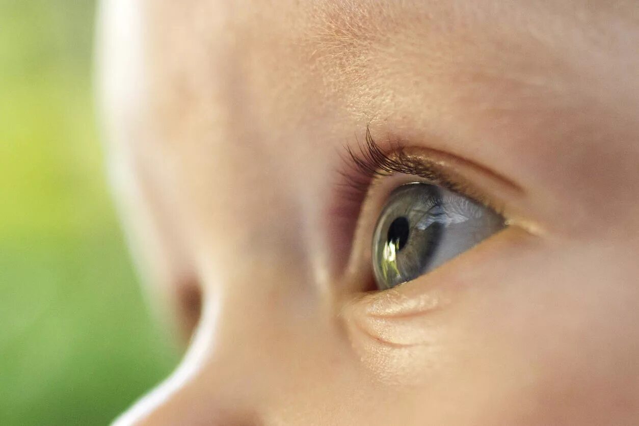 Baby eye песня. Детские глаза. Глаза младенца. Здоровые глаза дети. Взгляд младенца.
