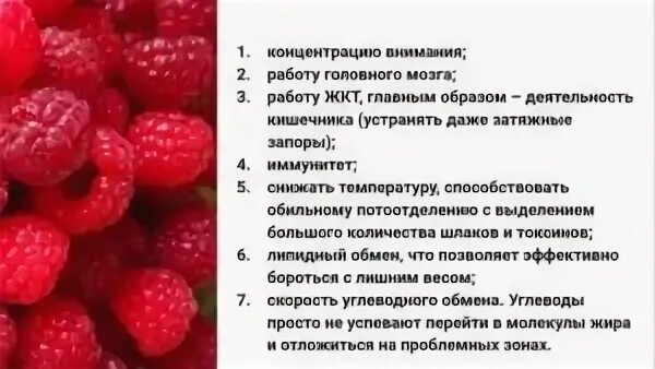 Можно ли есть малину при