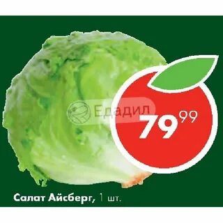 Калорийность салата айсберг