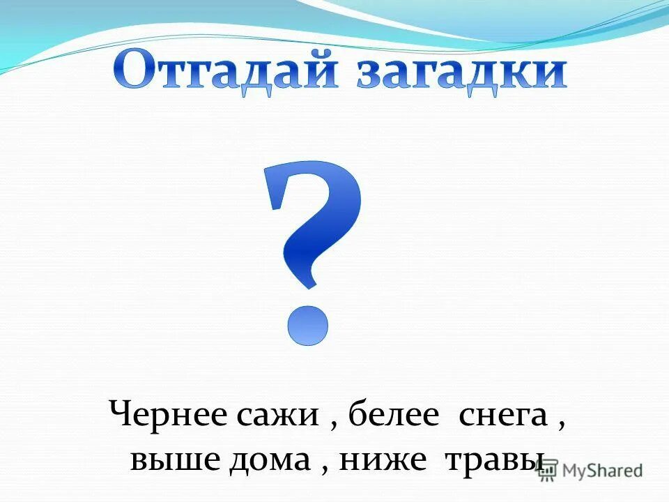 Загадки черного и белого цветов