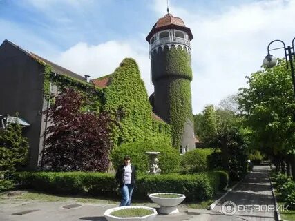 Погода в светлогорске калининградской сегодня и завтра