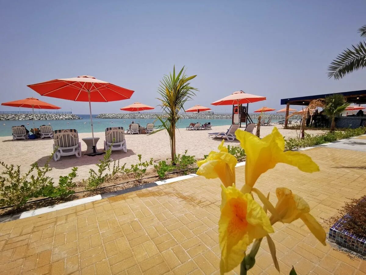 Мираж бич резорт фуджейра. Mirage bab al bahr resort 4*. Mirage bab al bahr отель. Mirage bab al bahr beach resort 4* фото. Фуджейра мираж баб аль фото отеля.