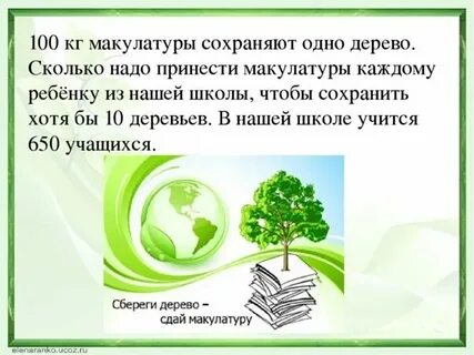 Тонна бумаги сколько деревьев