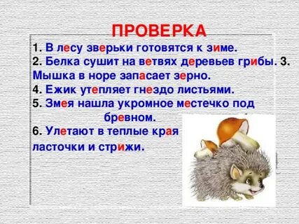Белки мягкие звуки