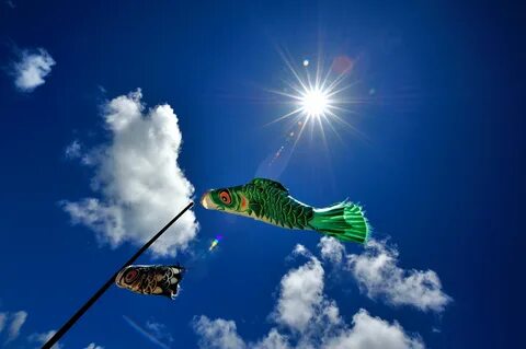 Sky fish