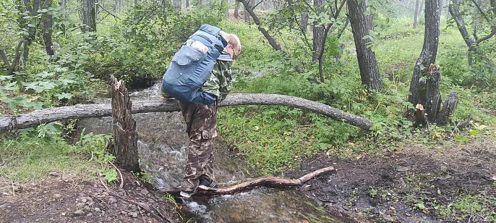 Тропа вятичей лосиный остров. Экотропа лосиный остров. Лосина тропа. Лосина тропа. Пешая тропа лосиный остров.