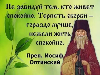 Не жить грехами
