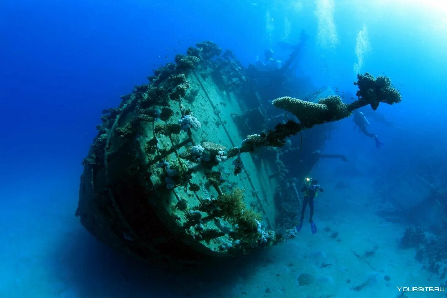 Корабль Giannis d, красное море. Саргассово море дайвинг. Затонувший корабль Монте Сервантес. Затонувший корабль Шарм-Эль-Шейх.