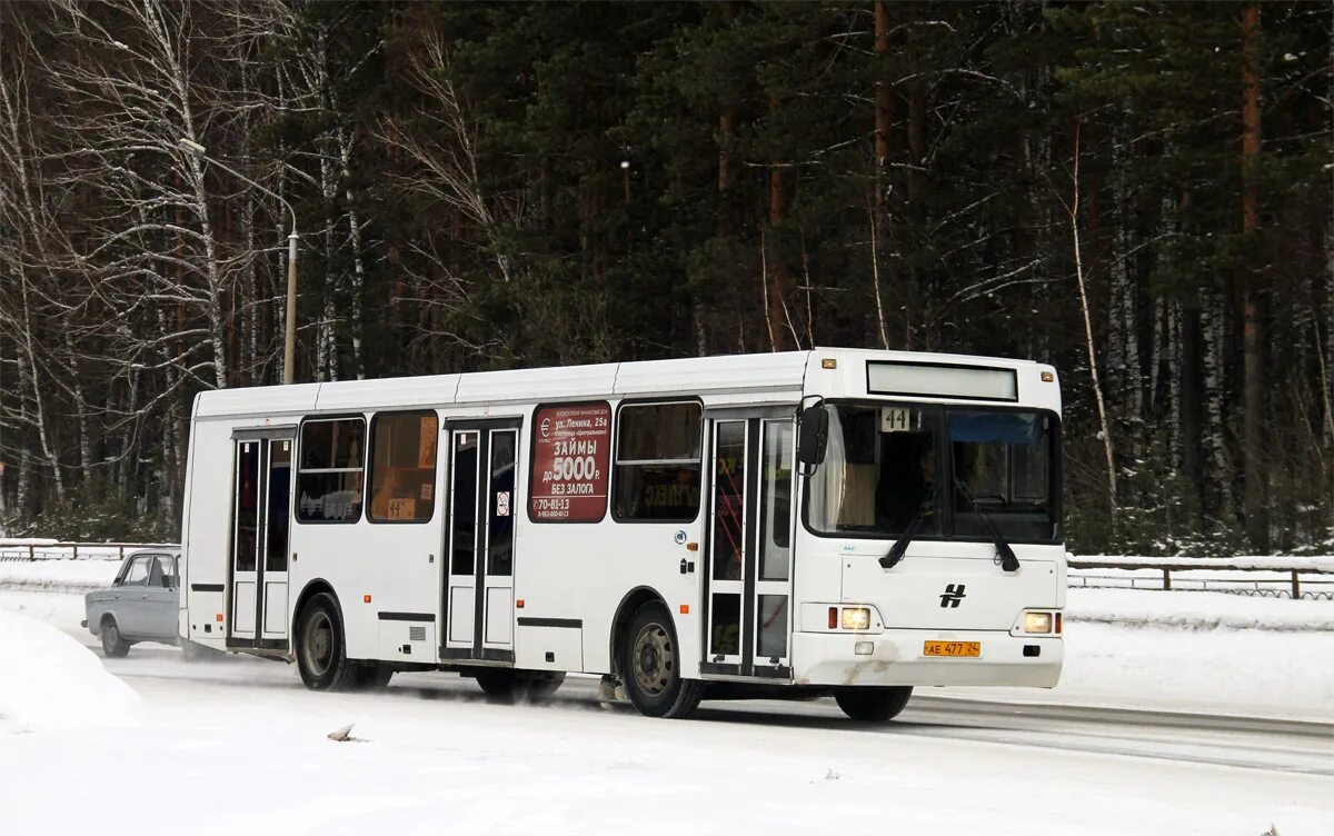 Автобусы Железногорск Красноярский край Неман 422. Неман автобус Железногорск. Неман 520101. Неман 520101-260. Минприроды 477 от 24.07 2020