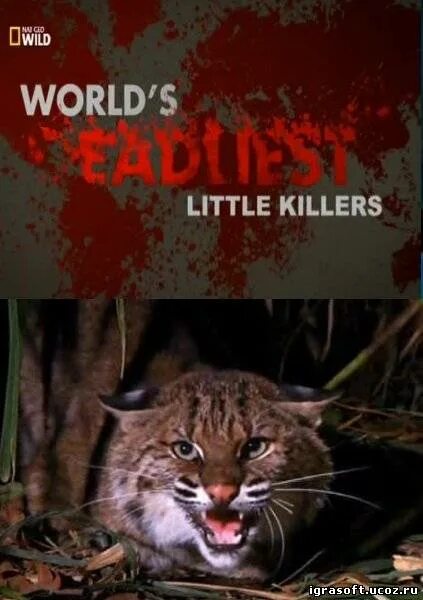 World's Deadliest самые опасные животные. Самые опасные животные 2013 маленькие убийцы. Самый опасный небольшой зверь. Killers world
