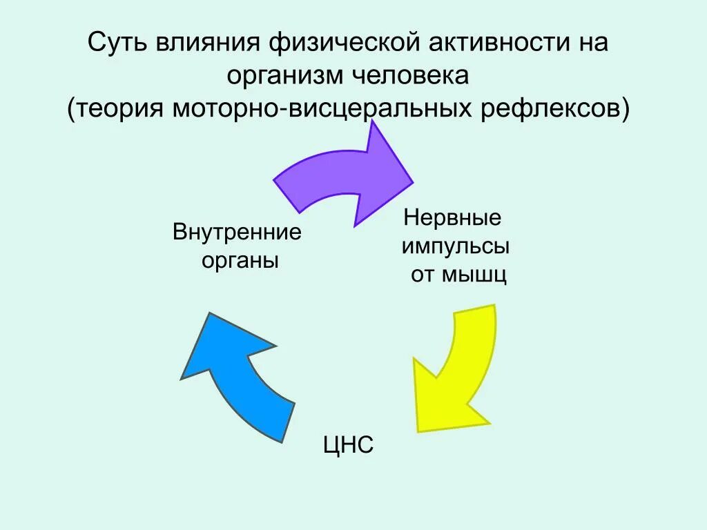 Суть физической теории. Теория моторно-висцеральных рефлексов. Теория моторно-висцеральных рефлексов м.р Могендовича. Влияние физической активности на организм человека. Суть теории моторно висцеральных рефлексов состоит в том что.