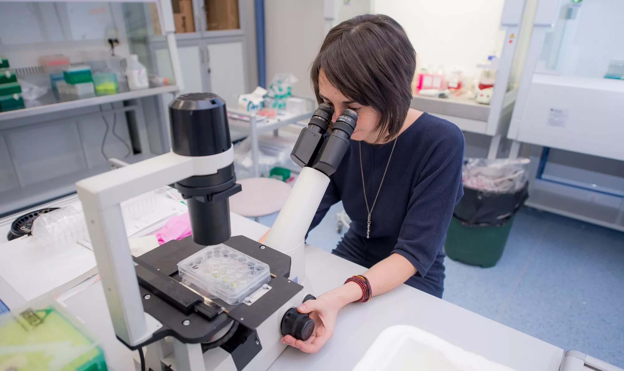 грант на научные исследования. грант на научные исследования. научные организации. гранты ученым. молодые ученые.