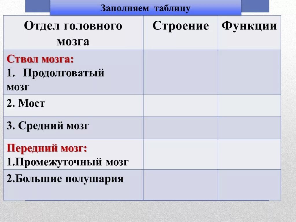 Таблица отделы головного мозга структуры отделов функции. Отдел головного мозга особенности строения функции таблица. Таблица по биологии отдел головного мозга и функции. Заполните таблицу отделы головного мозга.