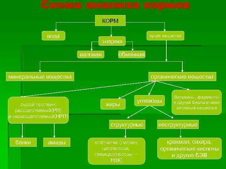 Какие основные способы подготовки кормов. Схема химического состава корма. Схема зоотехнического состава кормов. Схема химического анализа кормов. Схема зоотехнического анализа кормов.