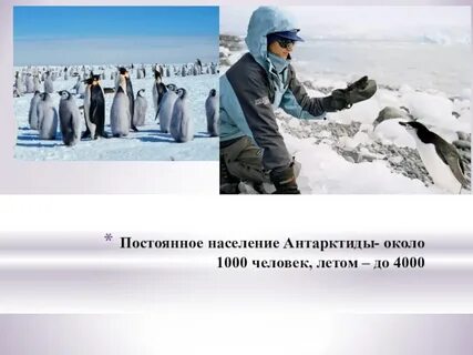 Население антарктиды