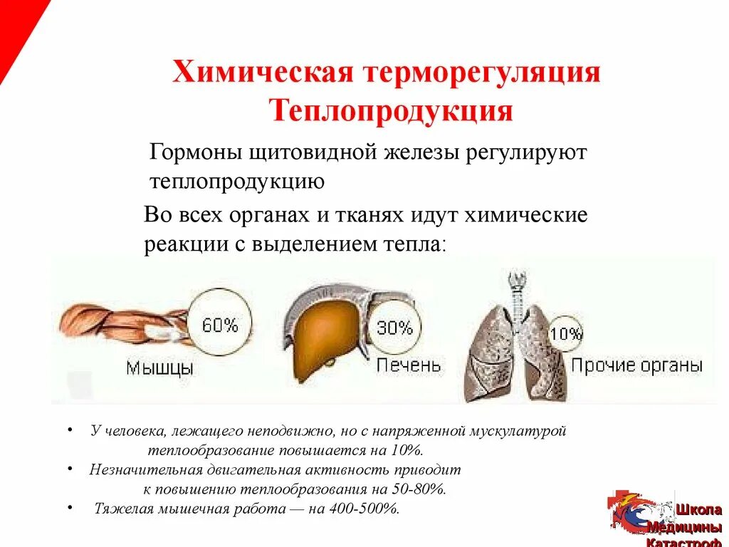 Какие железы участвуют в терморегуляции. Терморегуляция. Химическая терморегуляциятерморегуляция. Теплопродукция (химическая терморегуляция, термогенез).. Химическая терморегуляция и физическая терморегуляция.