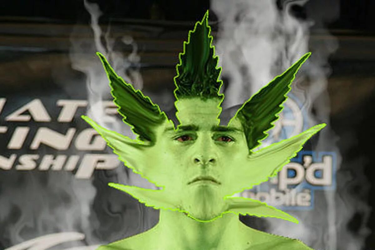 Marhuz все книги. Средневековый шарф. Мархуз кошкообразное. Джон тайтор фото. Мархуз.