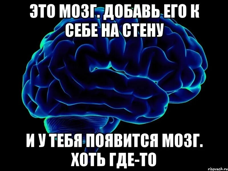 Постигн шь умом