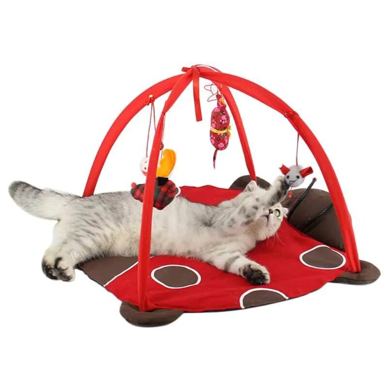 Игрушка коврик для кошки. Коврик для кошек с игрушками. Коврик для котенка. Кот у доски. Игровой коврик для кошек.