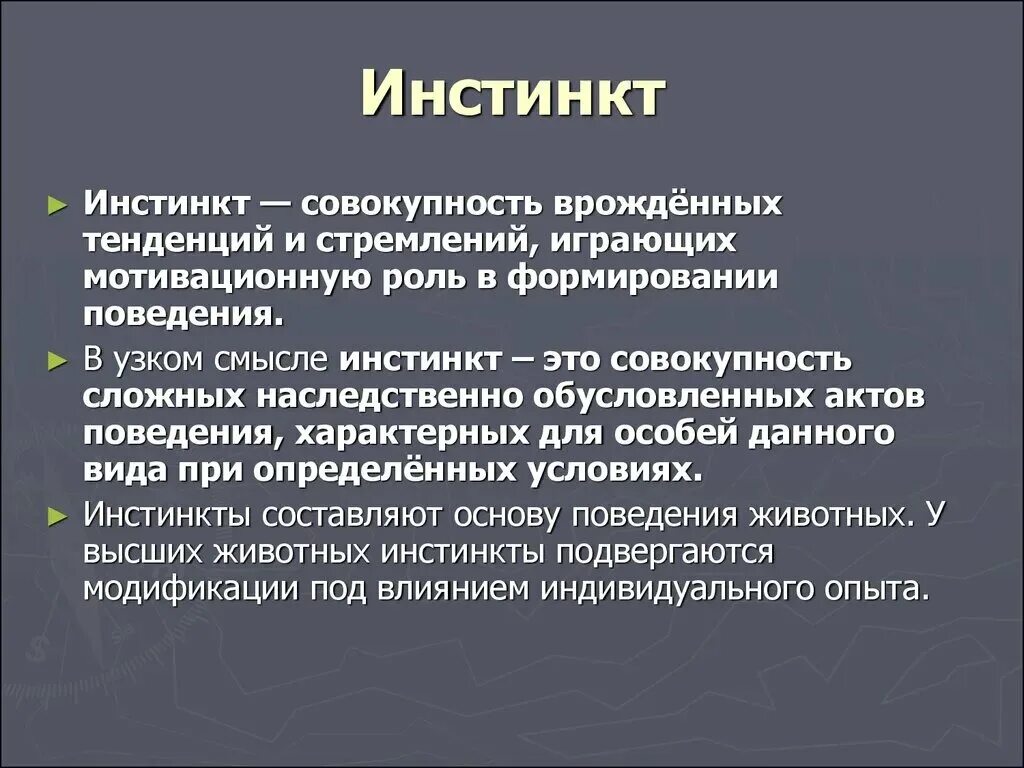 Второй инстинкт человека