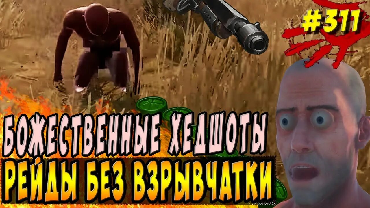 Batya rust 1