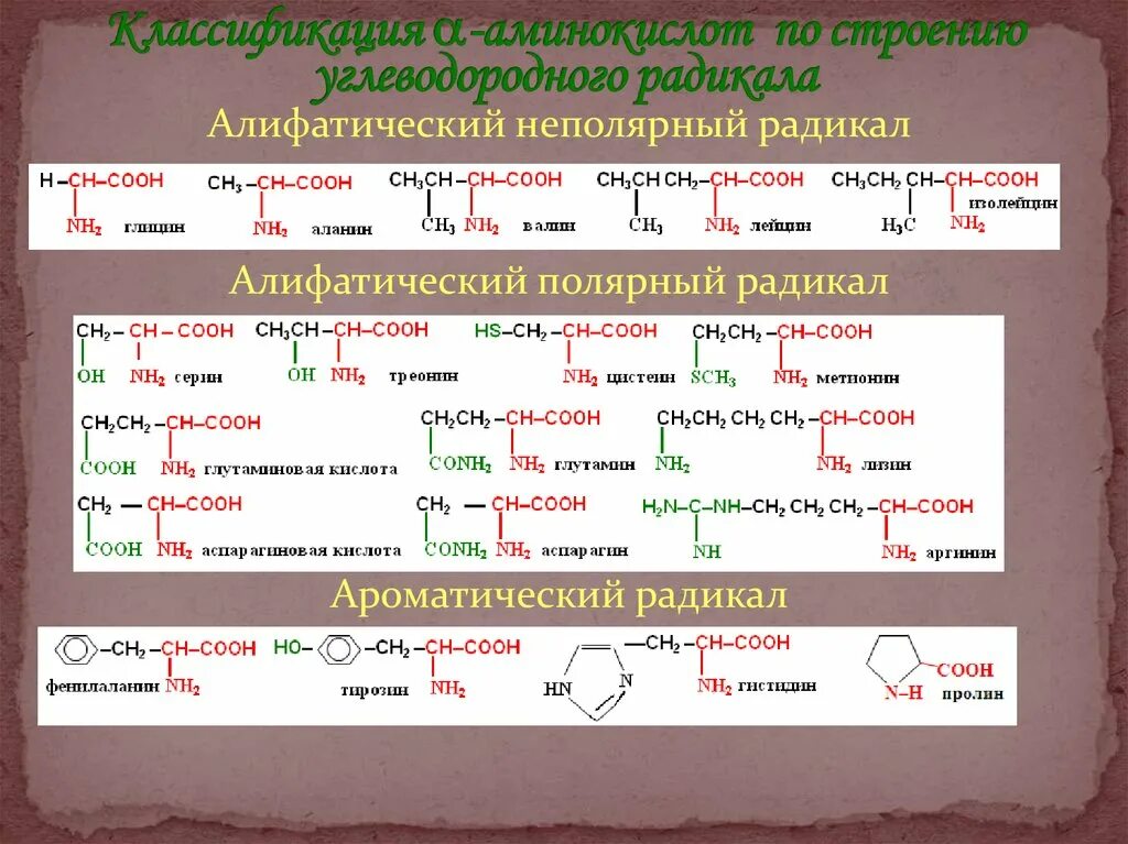 Классификация аминокислот алифатические ароматические. Радикалы аминокислот. Аминокислоты с алифатическим радикалом. Неполярные алифатические аминокислоты. Состав радикалов аминокислот