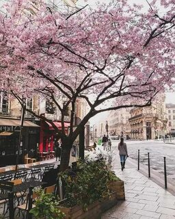Paris but